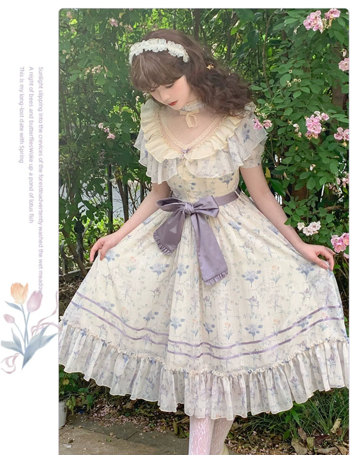 Classic Lolita Dress Letters And Poems Summer Flower Wall Series 37252:561898